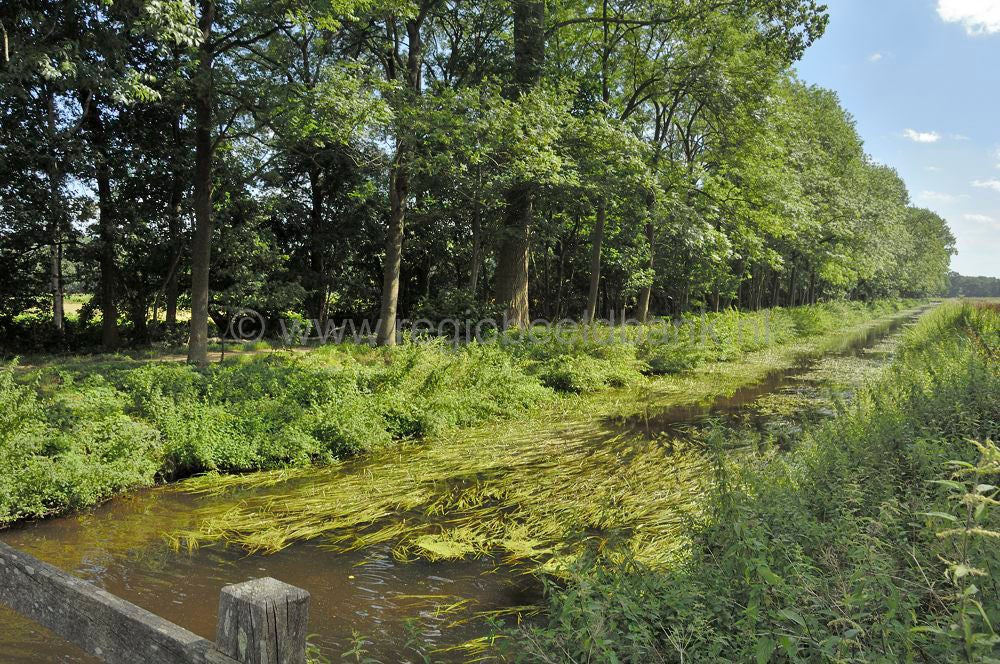 barneveldse_beek_028.jpg