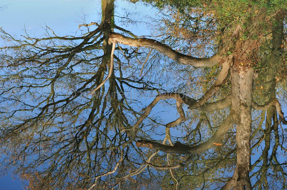 barneveldse_beek_035.jpg
