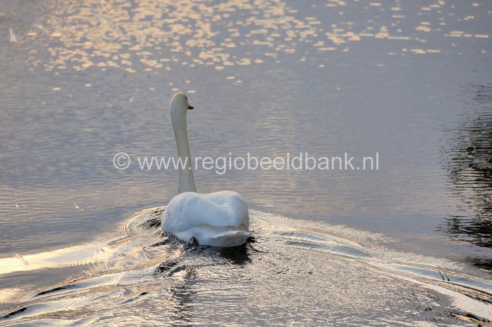 barneveldsebeek_018.jpg