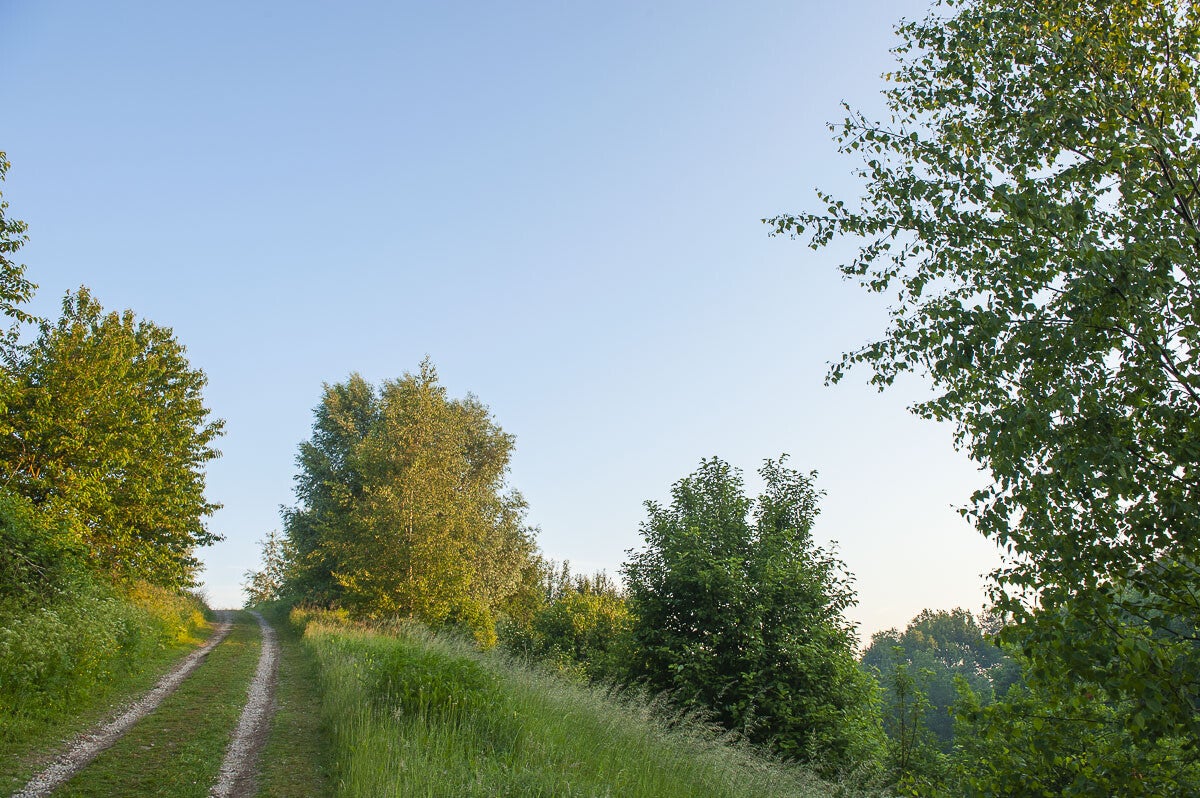 beekenbultpad_057.jpg
