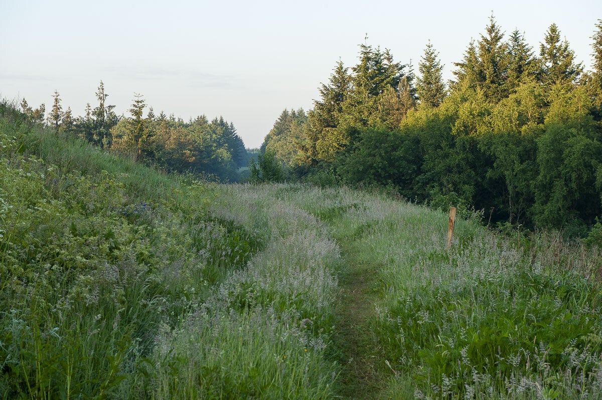 beekenbultpad_084.jpg