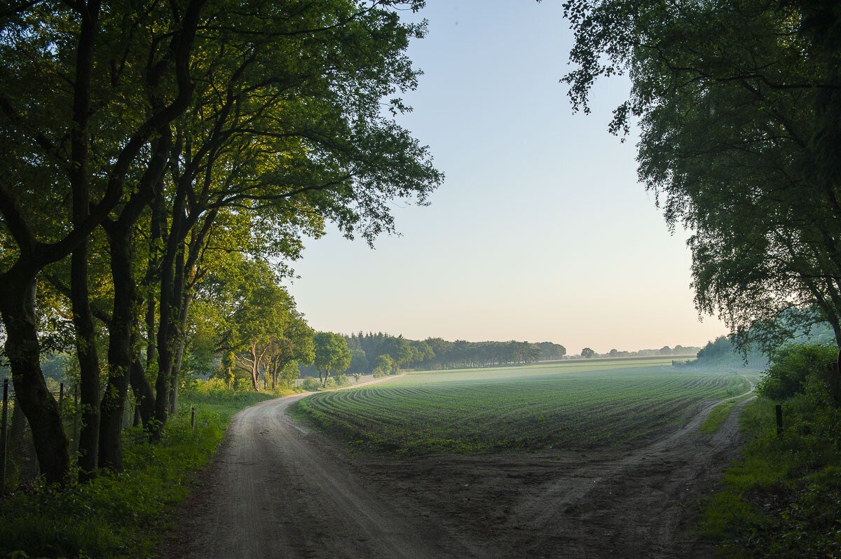 beekenbultpad_086.jpg