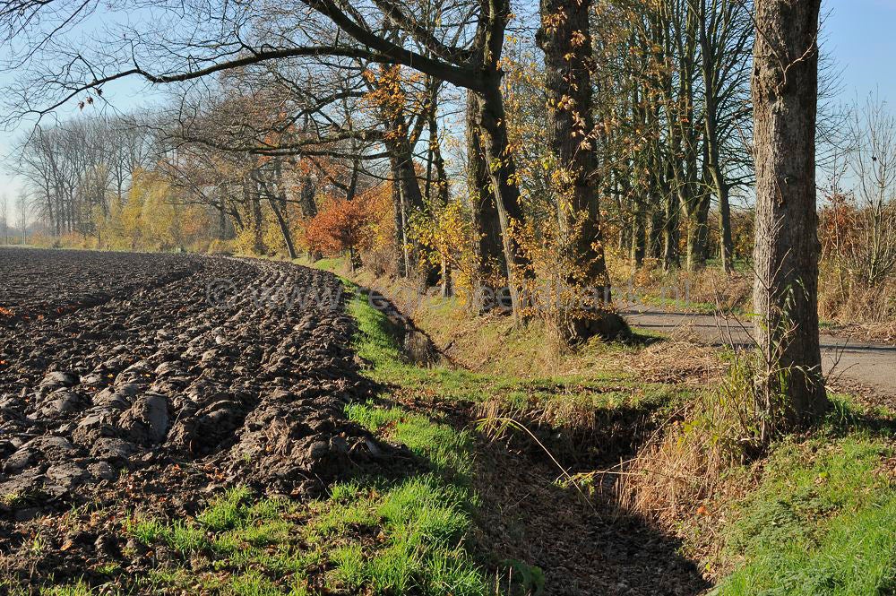 betuwe_herfst_005.jpg
