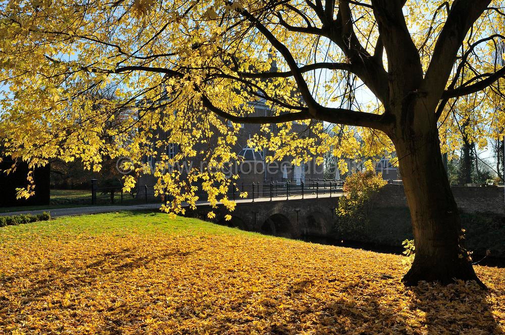 betuwe_herfst_009.jpg