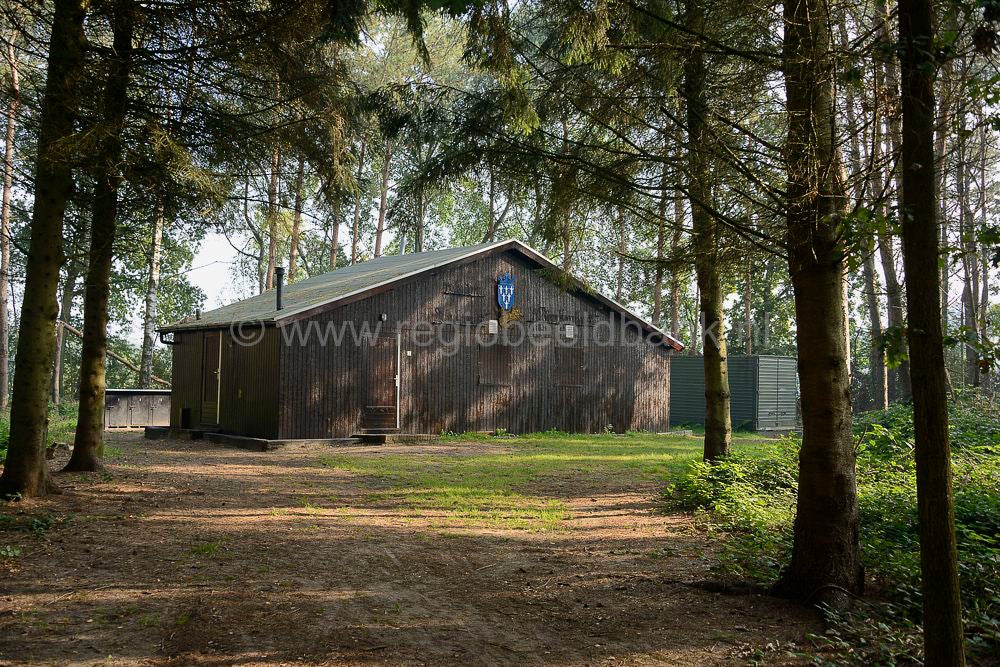 beukenbos_042.jpg