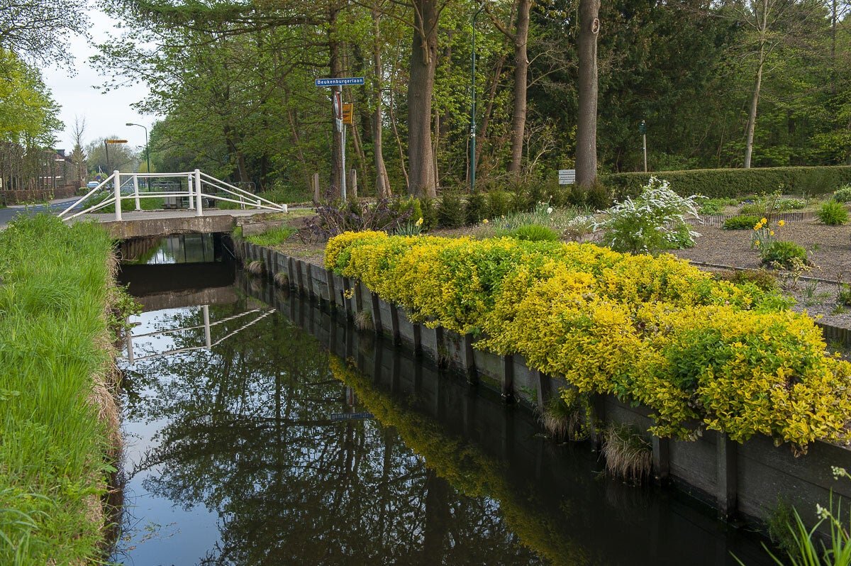 Beukenburgerpad Groenekan 19 04 2013