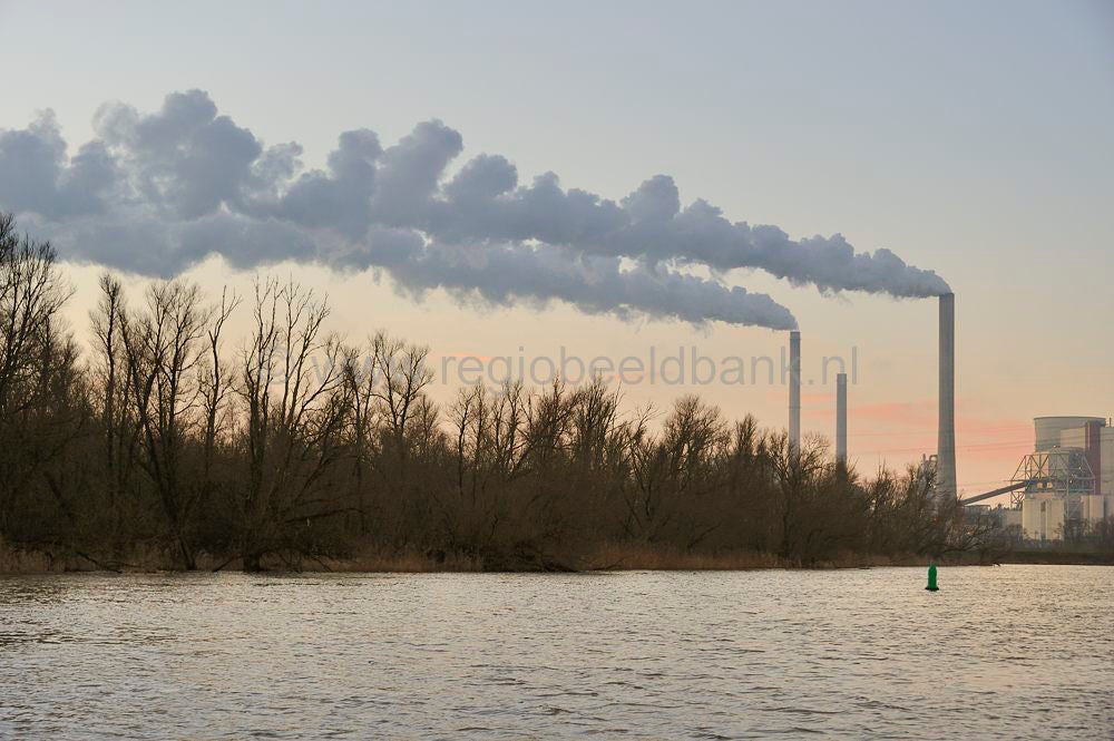 biesbosch_007.jpg