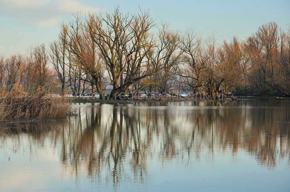 biesbosch_016.jpg