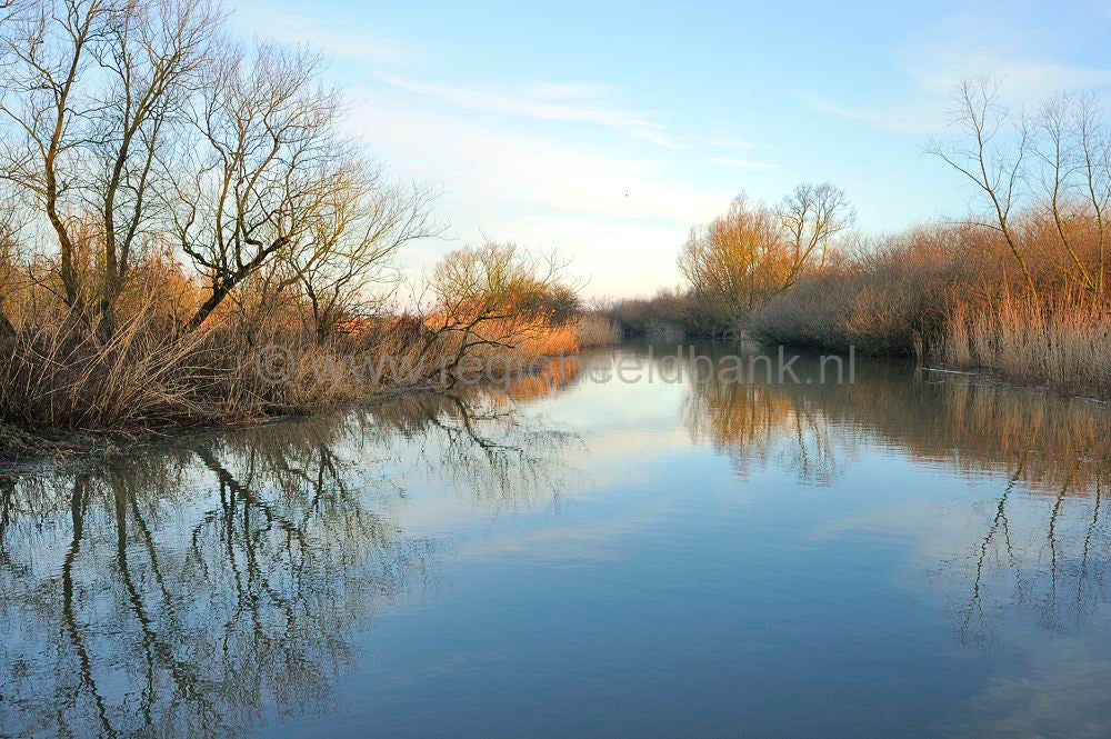 biesbosch_018.jpg