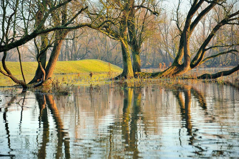 biesbosch_038.jpg