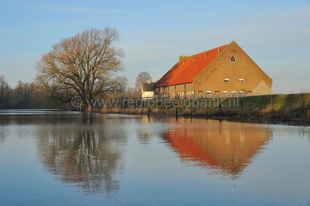 biesbosch_046.jpg
