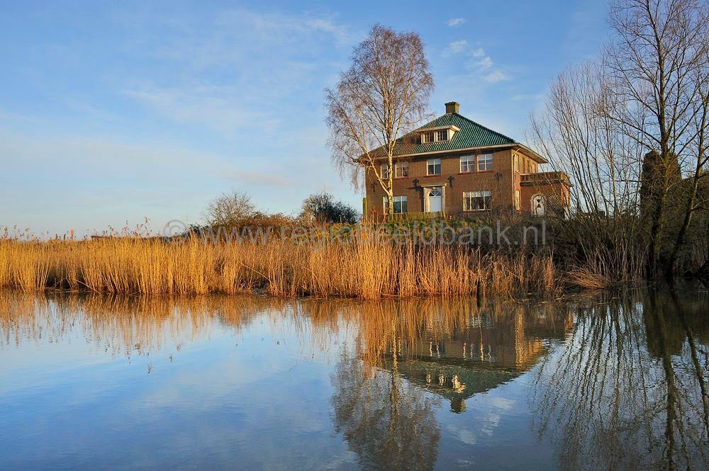 biesbosch_052.jpg