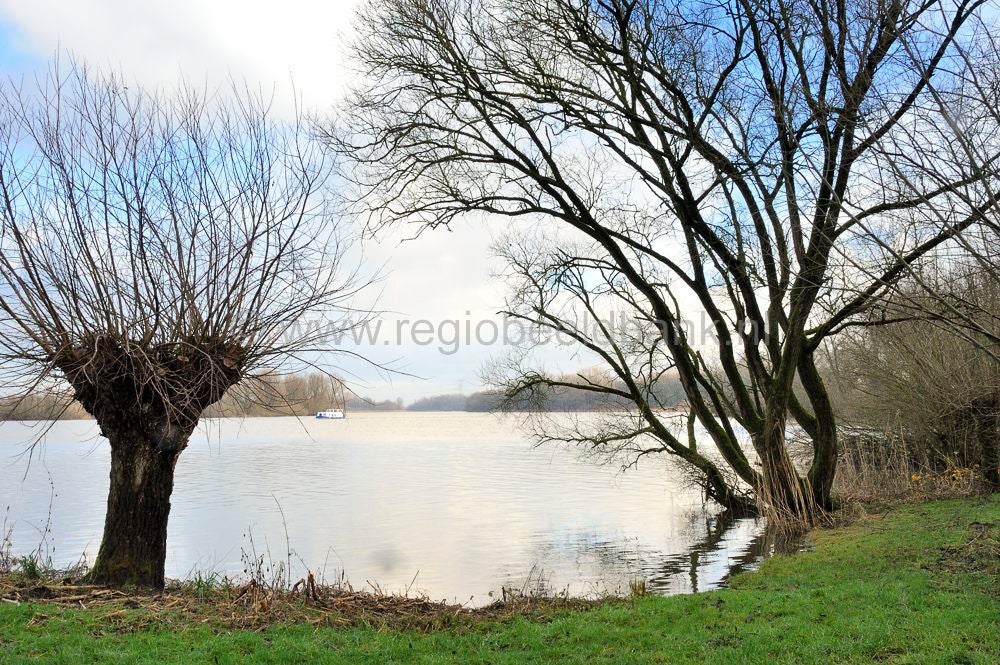 biesbosch_090.jpg