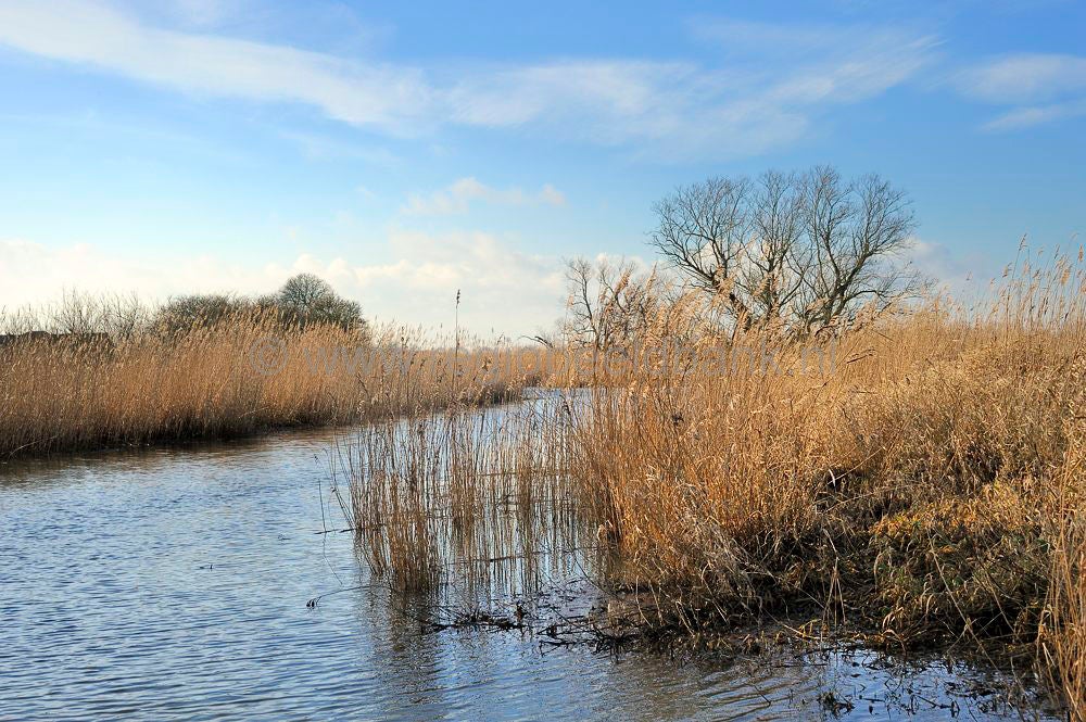biesbosch_102.jpg