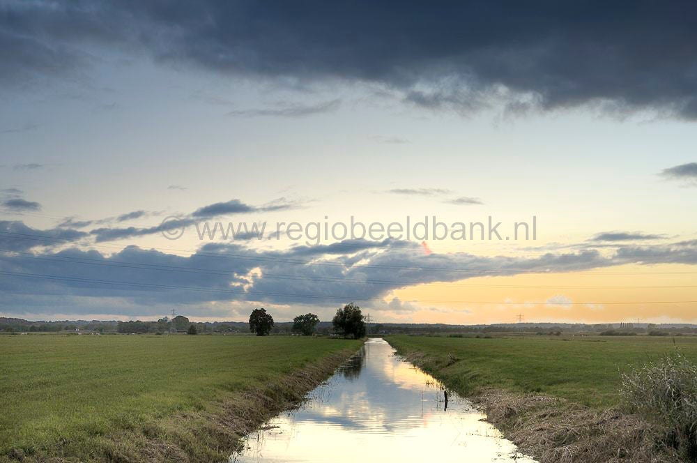 binnenveld_004.jpg