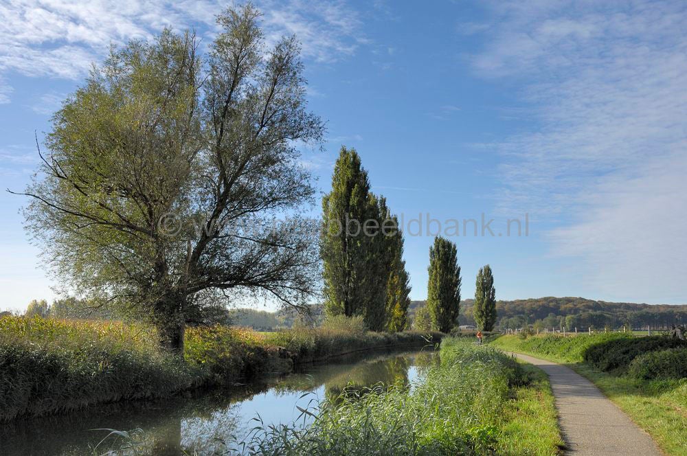 binnenveld_006.jpg
