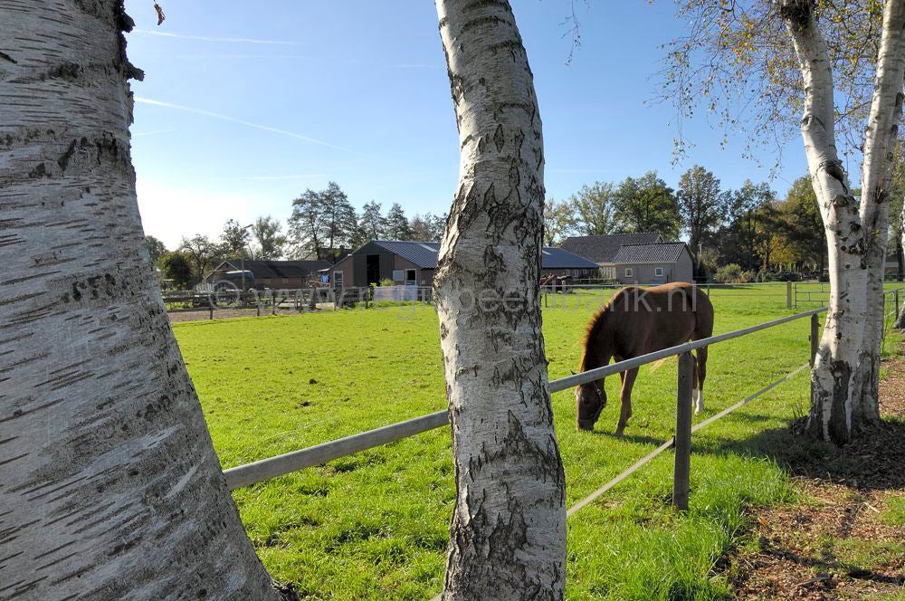 binnenveld_008.jpg