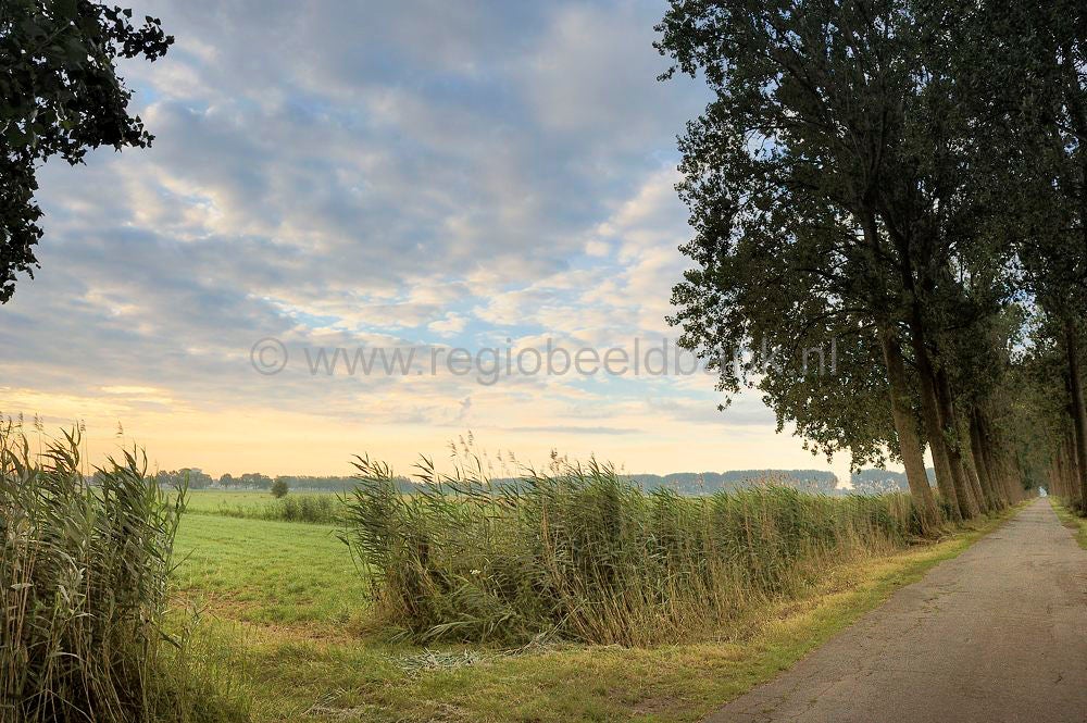 binnenveld_013.jpg