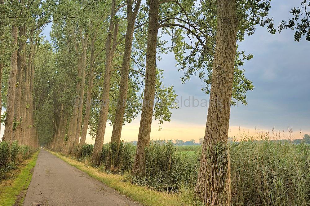 binnenveld_016.jpg