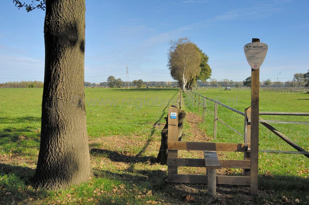 binnenveld_026.jpg