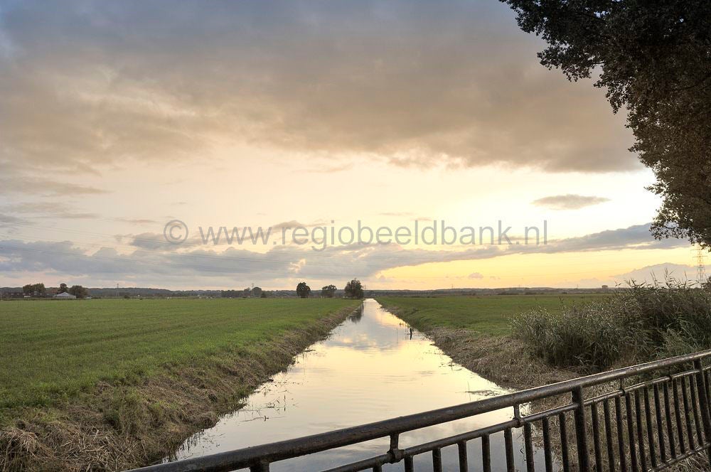 binnenveld_035.jpg