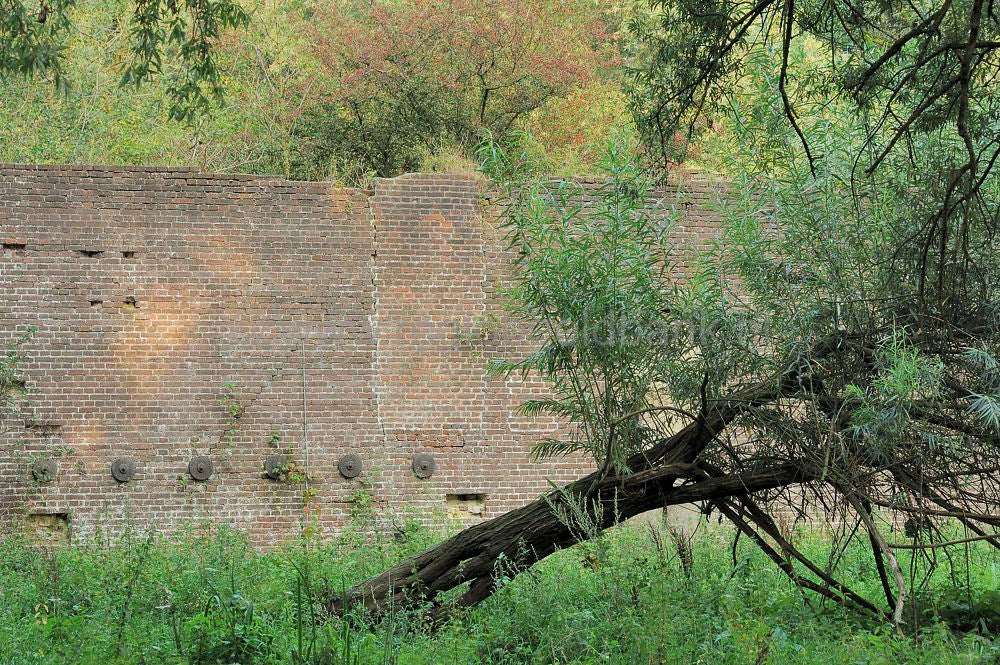 blauwekamer_1108009.jpg