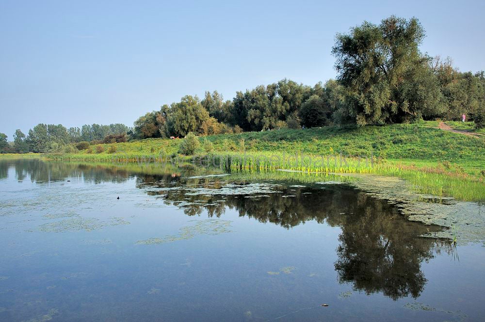 blauwekamer_1108020.jpg