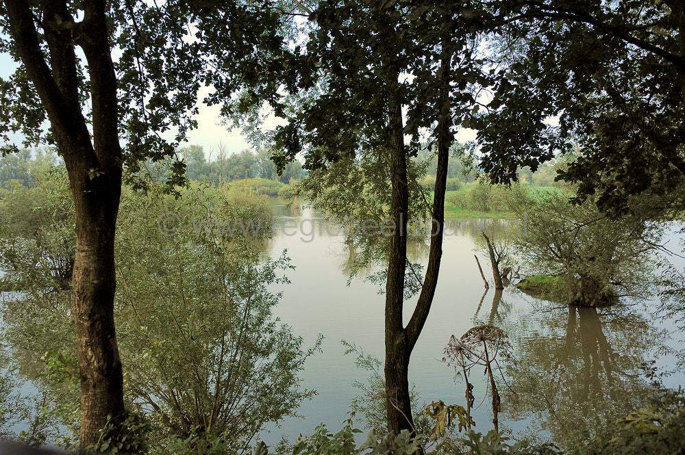 blauwekamer_1108025.jpg