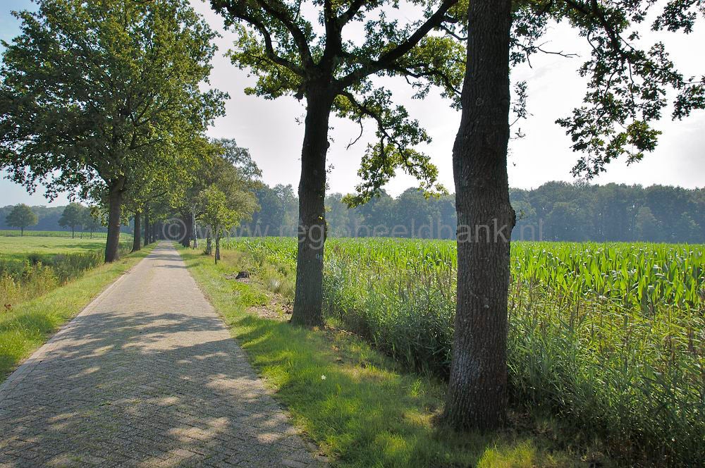 breeschoten_007.jpg
