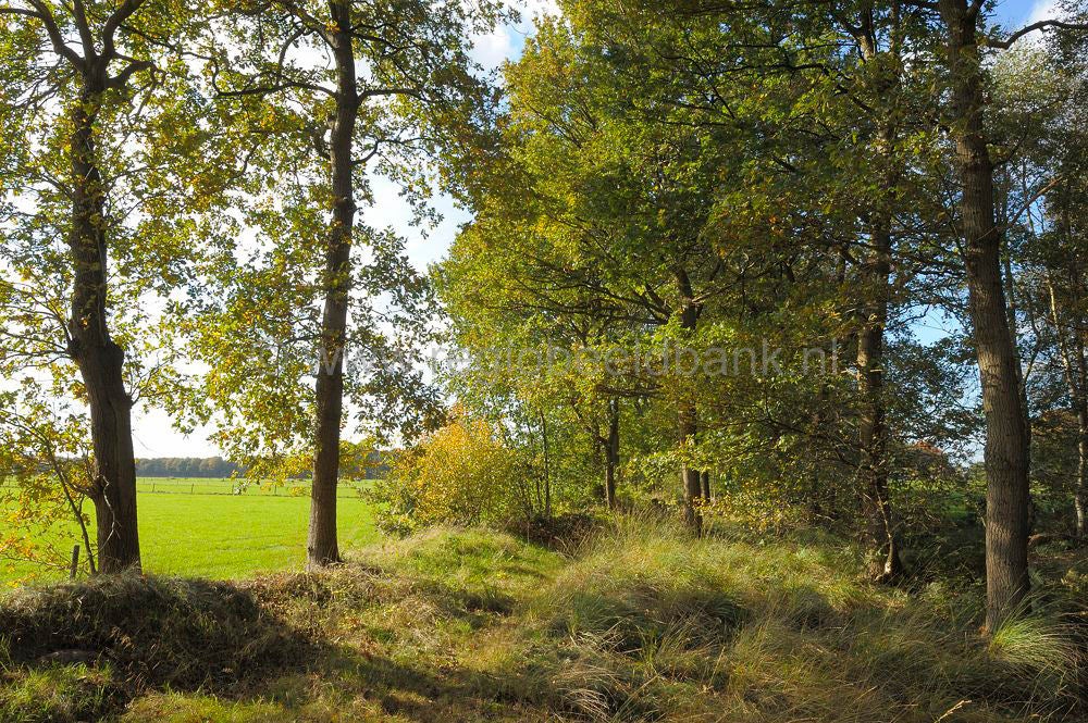 breeschoten_020.jpg