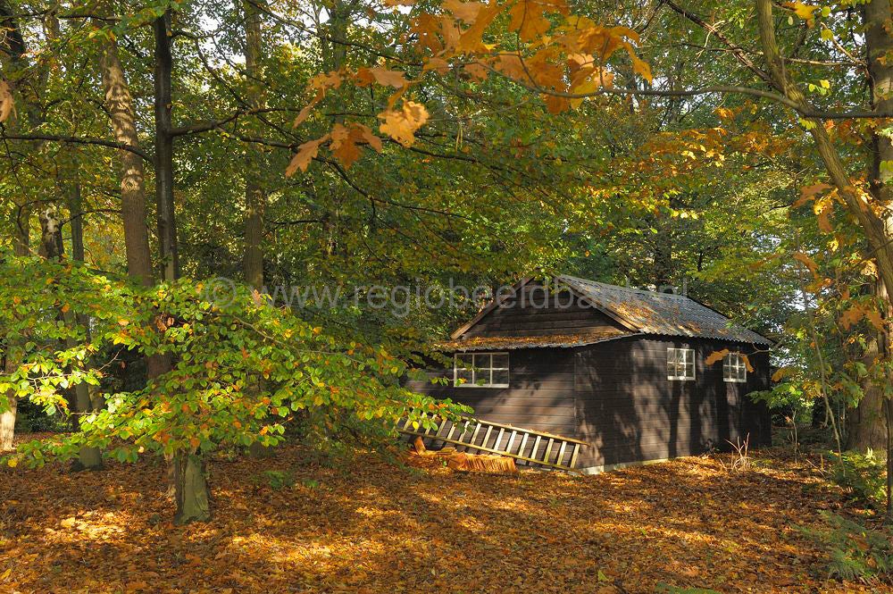 breeschoten_025.jpg