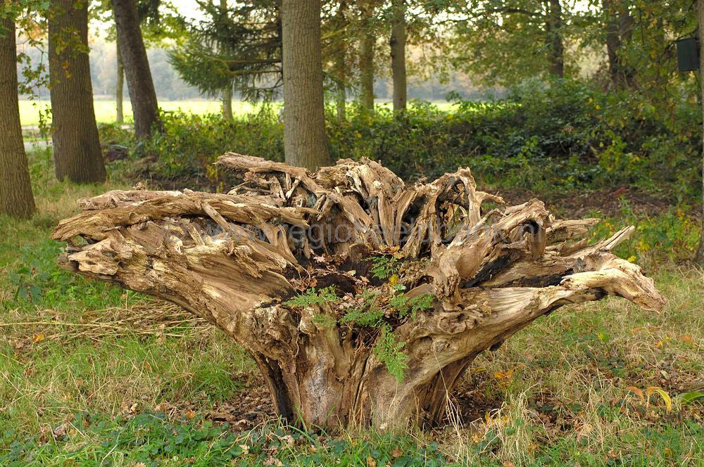 breeschoten_032.jpg