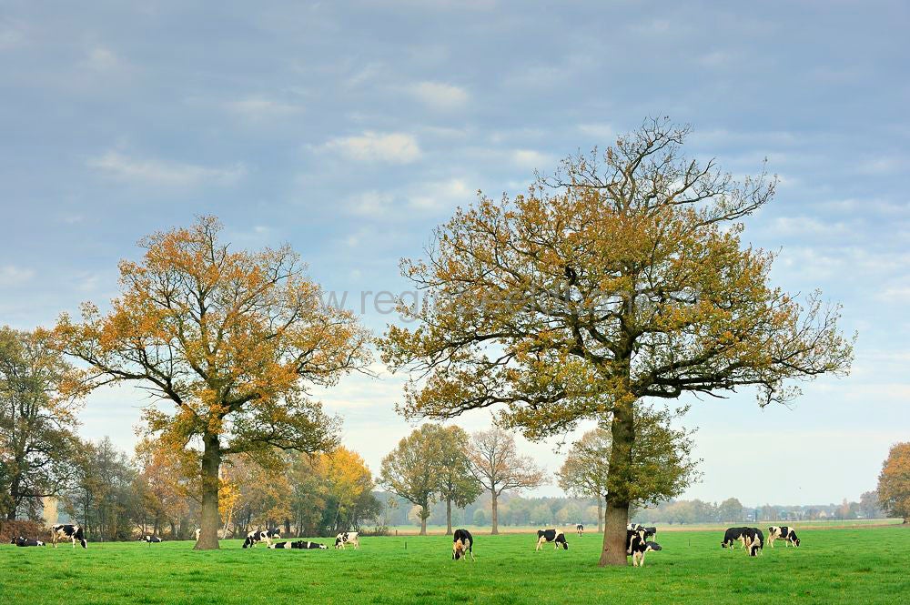 breeschoten_042.jpg