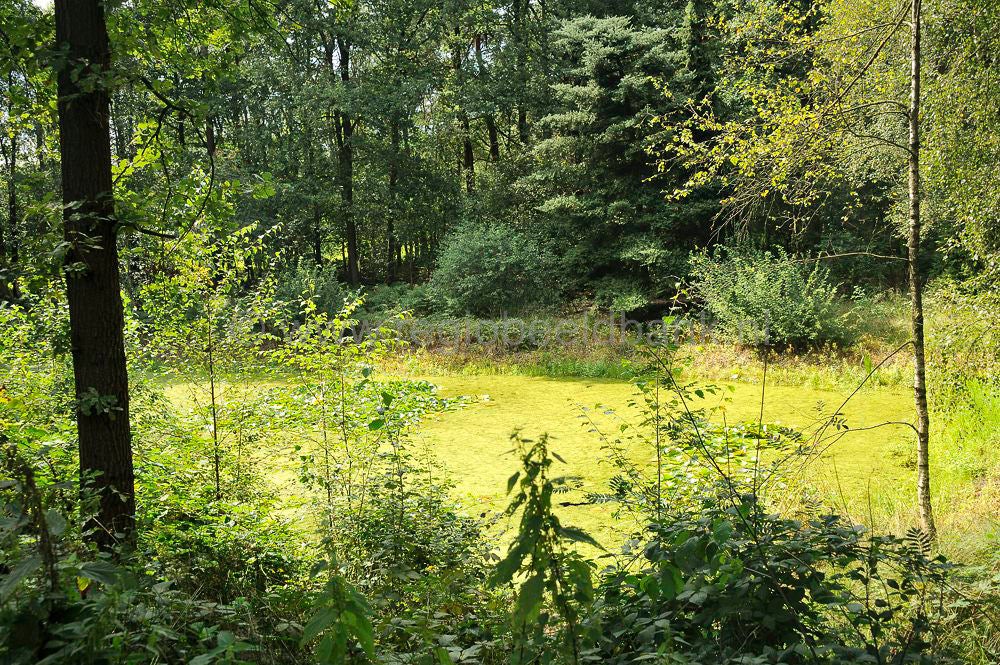 breeschoten_402.jpg