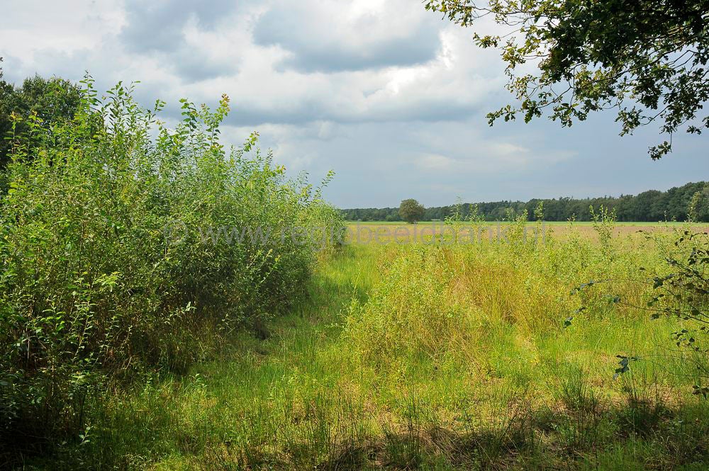 breeschoten_416.jpg