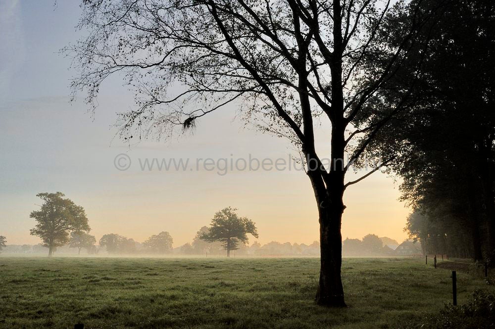 breeschoten_517-1.jpg