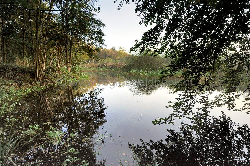 breeschoten_520.jpg