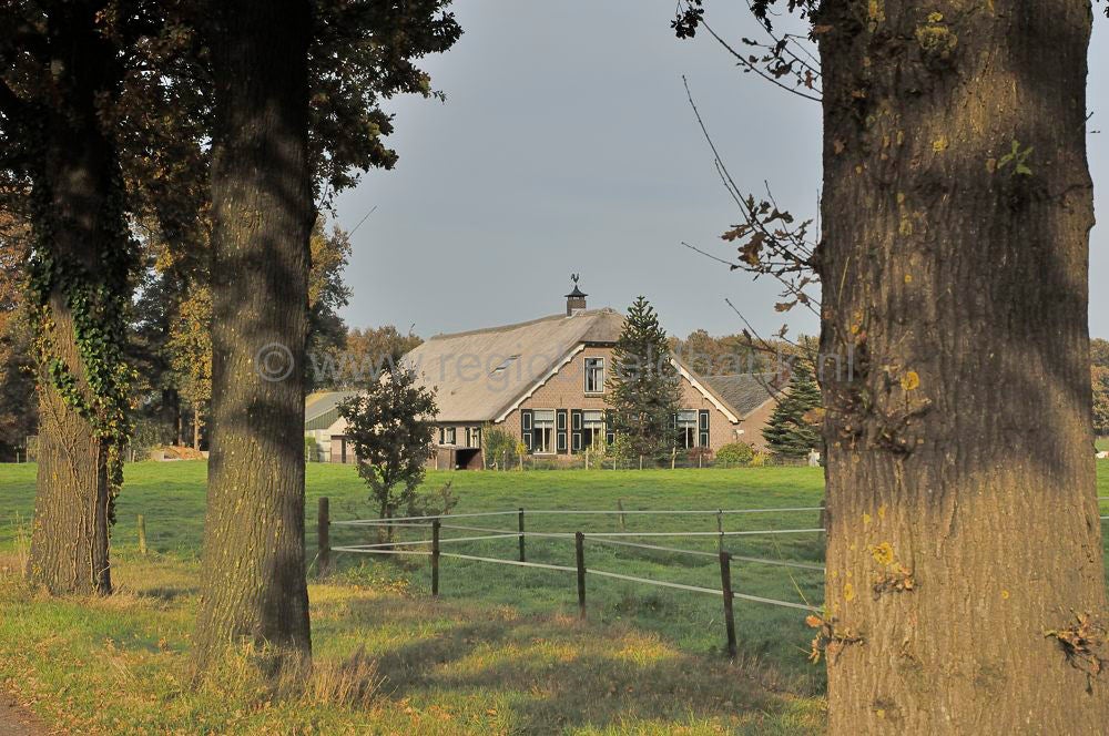 breeschoterpad_014.jpg