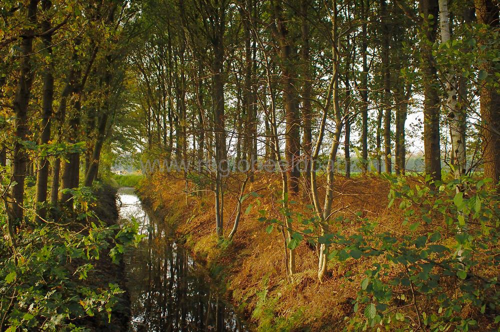 breeschoterpad_017.jpg