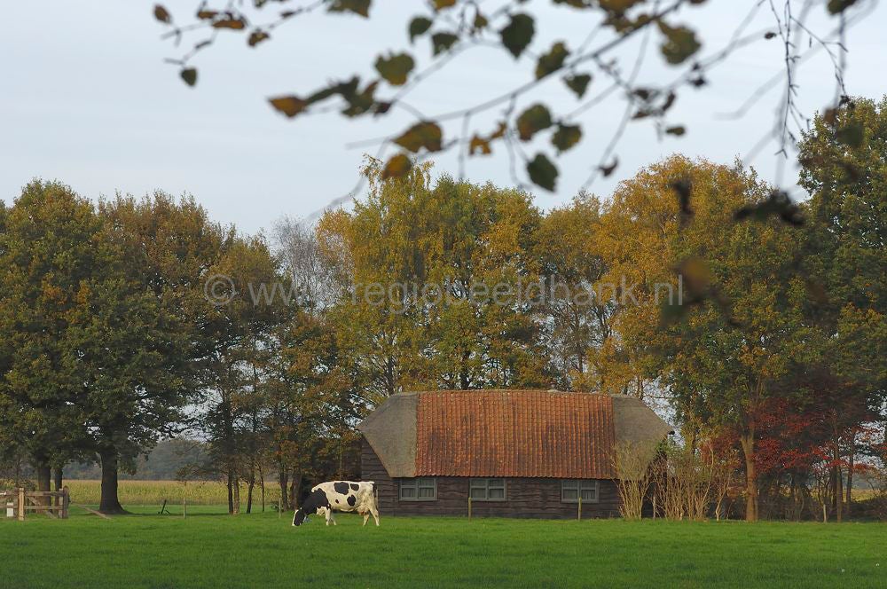 breeschoterpad_024.jpg