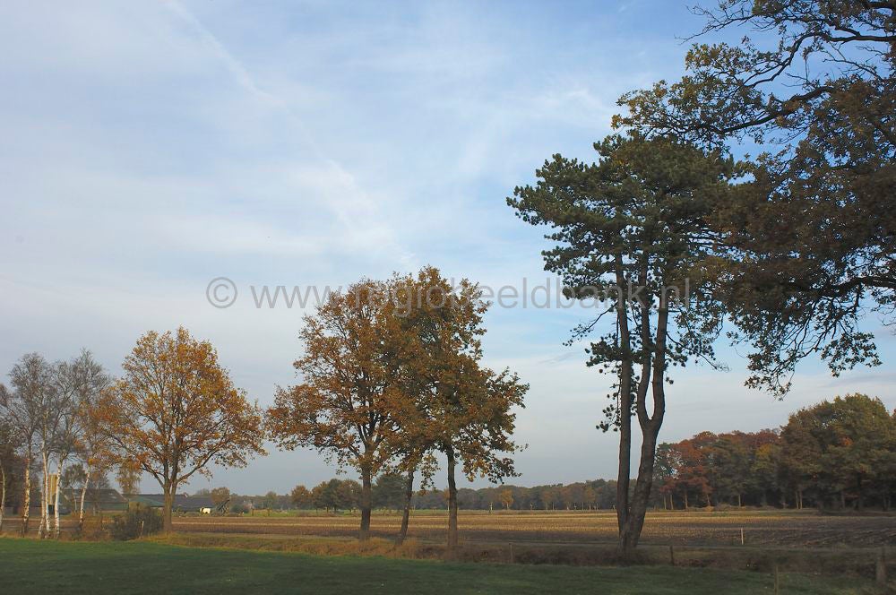 breeschoterpad_033.jpg