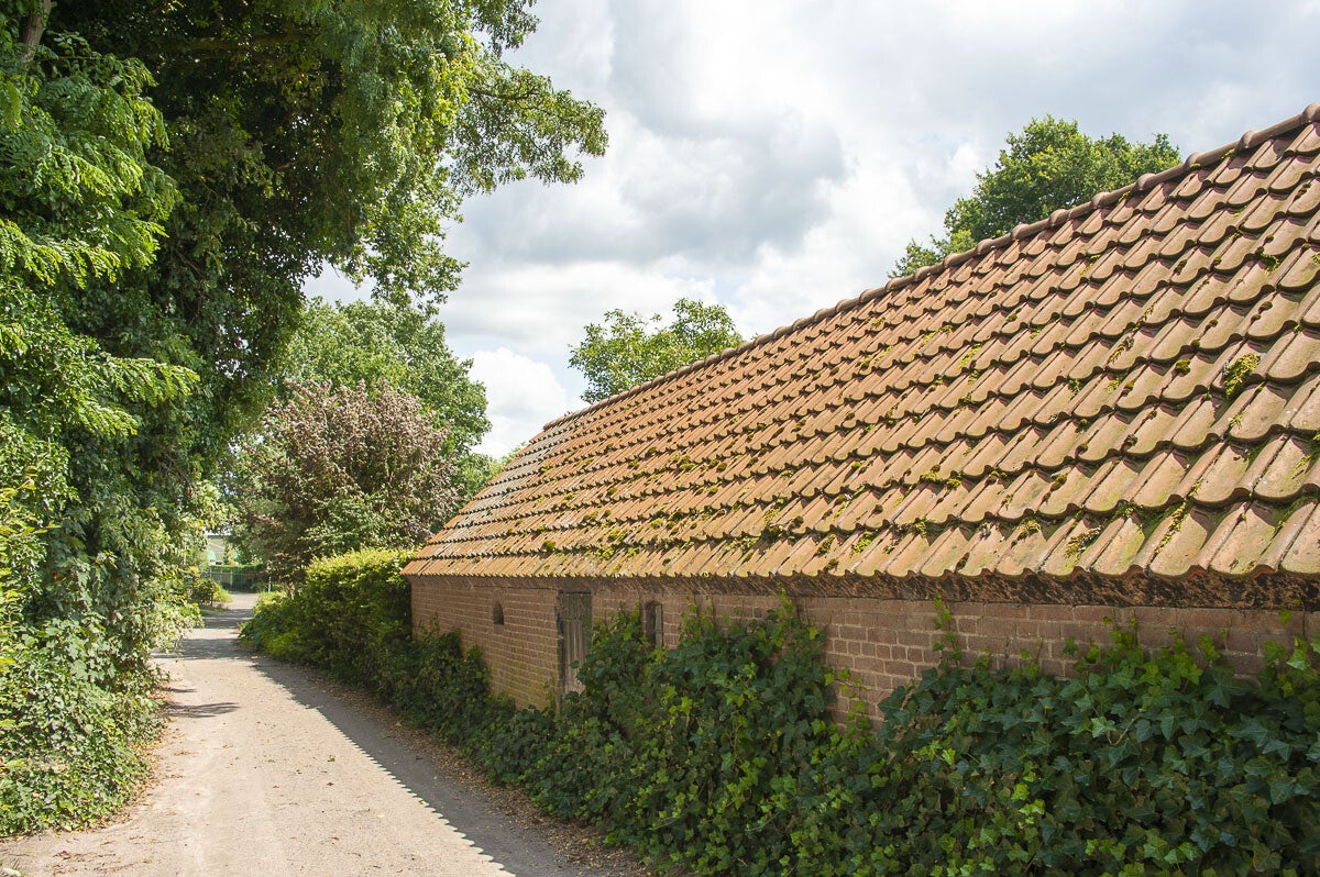 breukerengpad_013.jpg