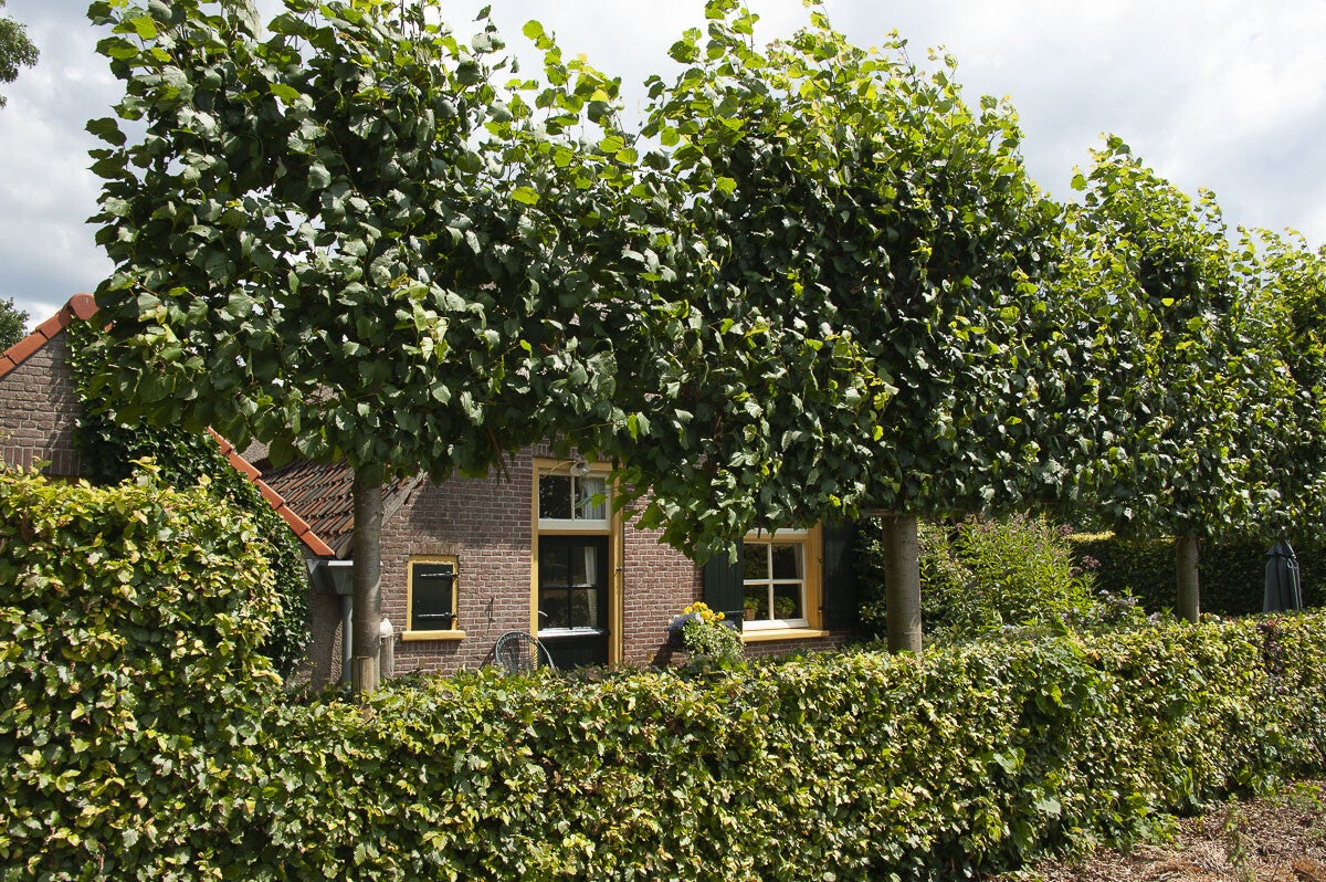 breukerengpad_015.jpg