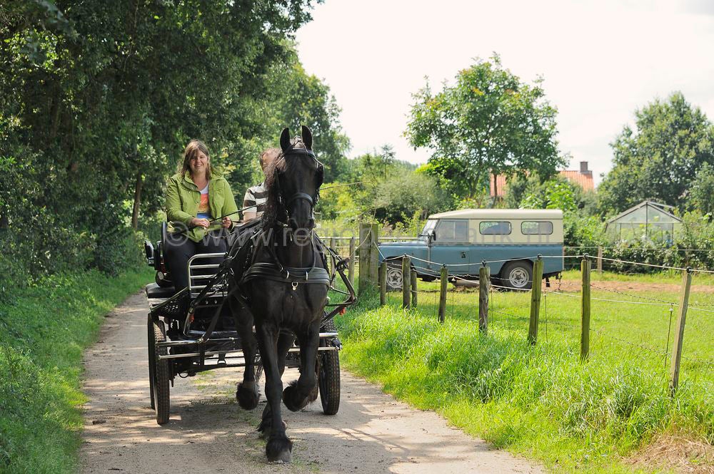 Paardrijden