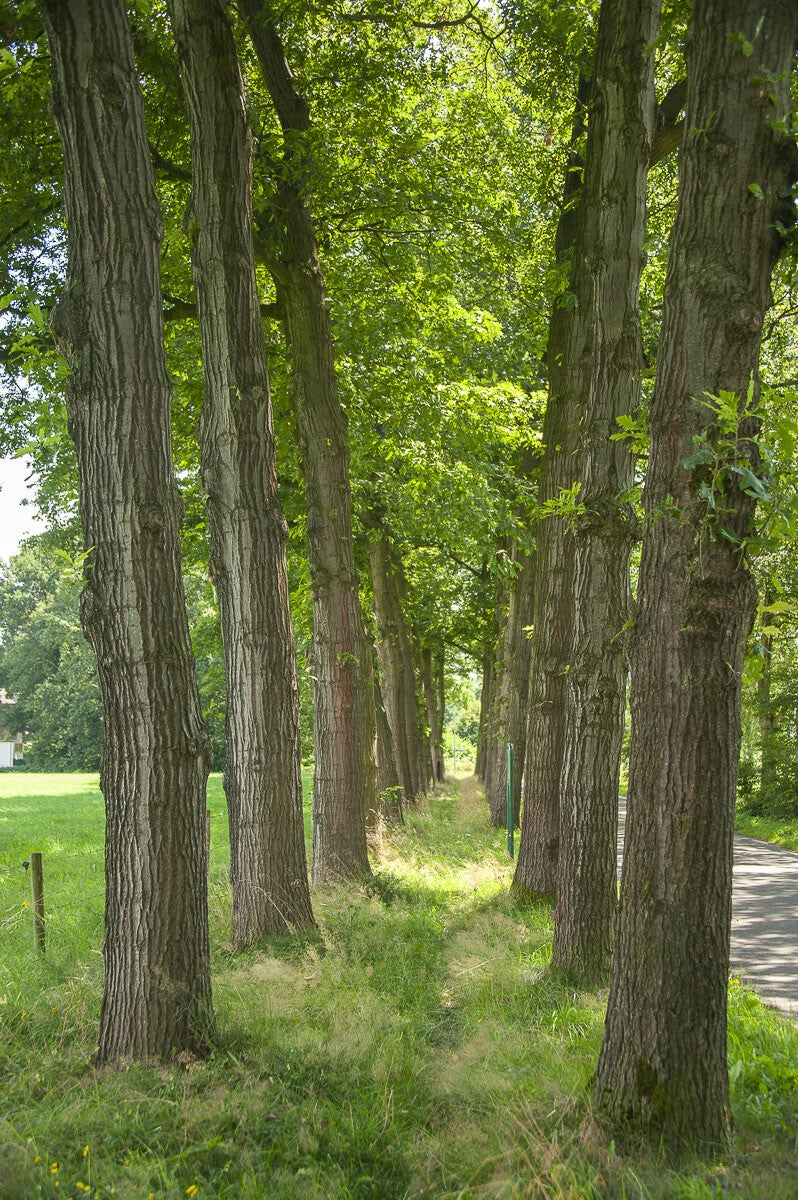 breukerengpad_029.jpg