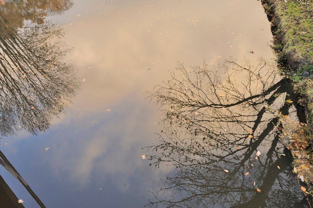 Vallei in herfsttooi