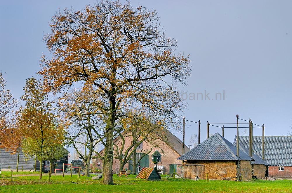 brinkkanterweg_002.jpg