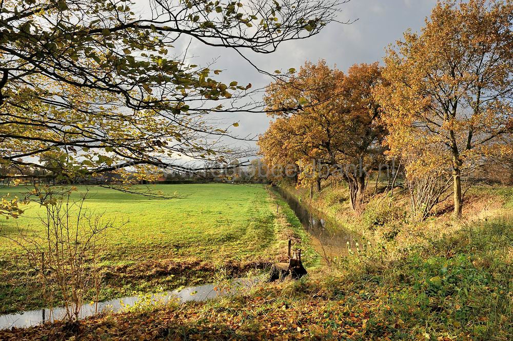 brinkkanterweg_012.jpg