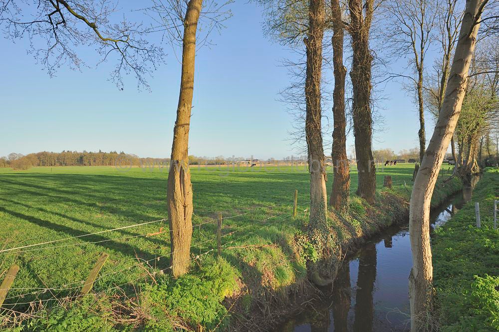 brinkkanterweg_023.jpg