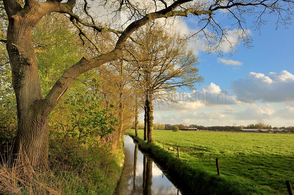 brinkkanterweg_033.jpg